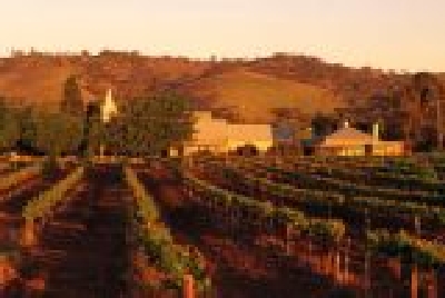 Weingut Barossa Valley-SA Baro 1 Weingut.JPG